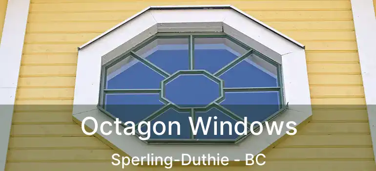  Octagon Windows Sperling-Duthie - BC
