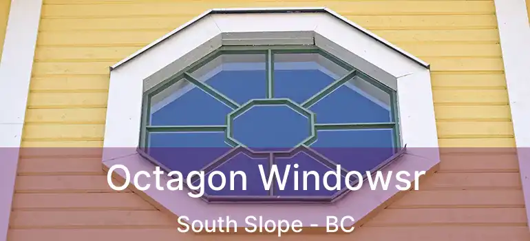  Octagon Windowsr South Slope - BC
