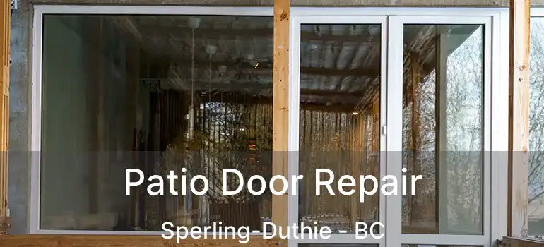  Patio Door Repair Sperling-Duthie - BC