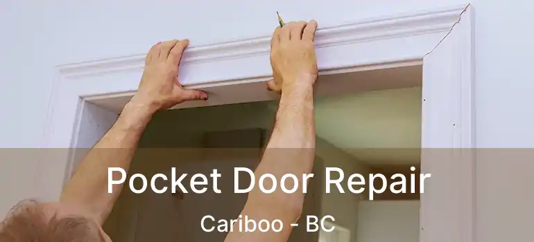  Pocket Door Repair Cariboo - BC