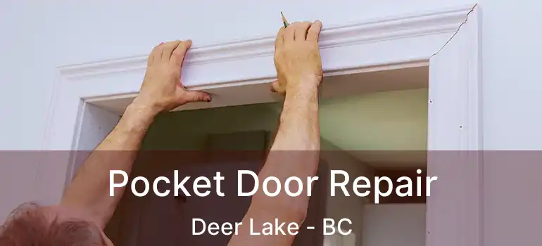  Pocket Door Repair Deer Lake - BC
