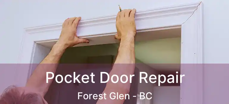  Pocket Door Repair Forest Glen - BC