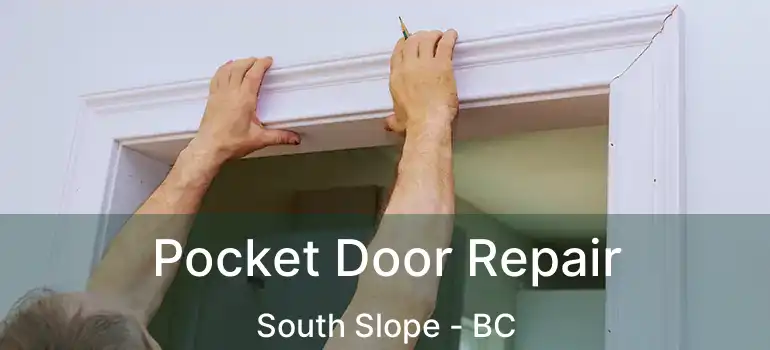  Pocket Door Repair South Slope - BC