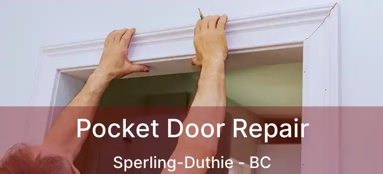 Pocket Door Repair Sperling-Duthie - BC
