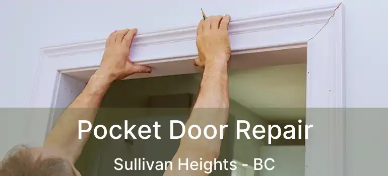  Pocket Door Repair Sullivan Heights - BC