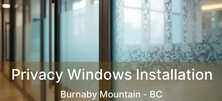  Privacy Windows Installation Burnaby Mountain - BC