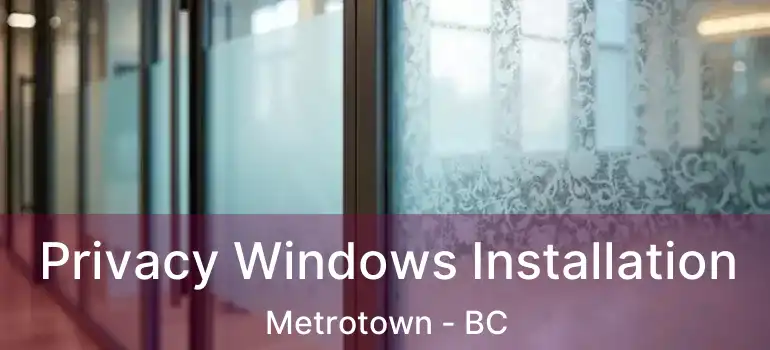  Privacy Windows Installation Metrotown - BC