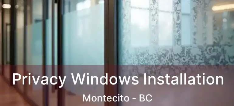  Privacy Windows Installation Montecito - BC