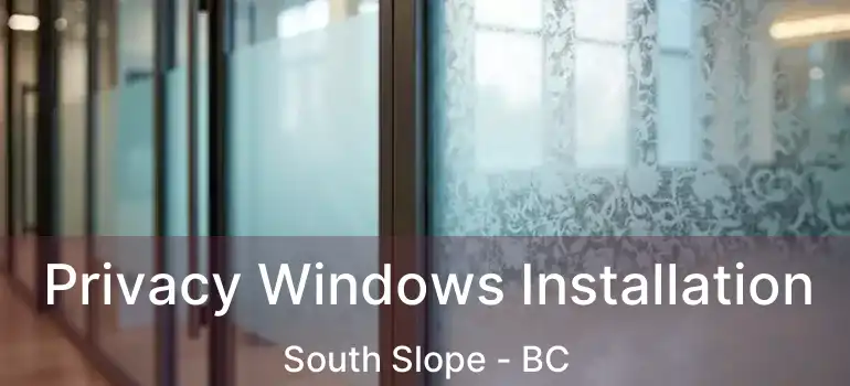  Privacy Windows Installation South Slope - BC