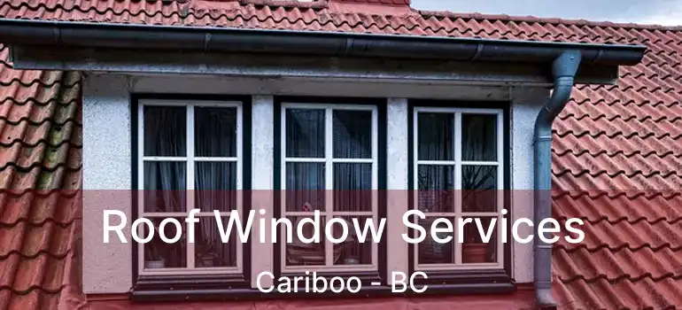  Roof Window Services Cariboo - BC