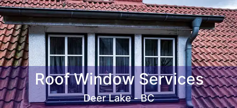  Roof Window Services Deer Lake - BC