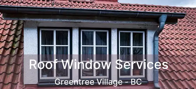 Roof Window Services Greentree Village - BC
