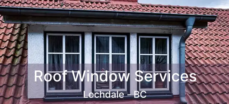  Roof Window Services Lochdale - BC