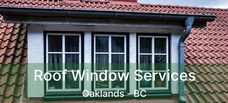  Roof Window Services Oaklands - BC