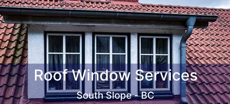  Roof Window Services South Slope - BC