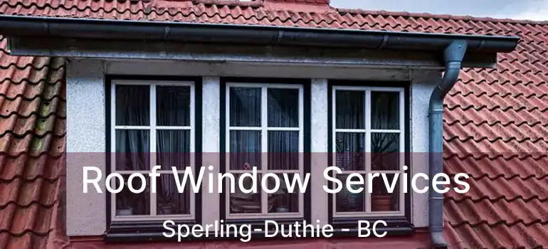  Roof Window Services Sperling-Duthie - BC
