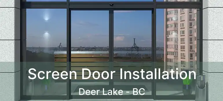  Screen Door Installation Deer Lake - BC