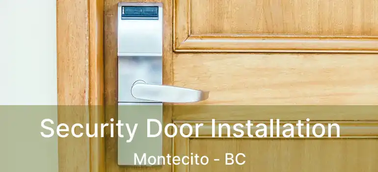  Security Door Installation Montecito - BC