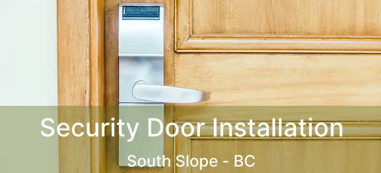 Security Door Installation South Slope - BC