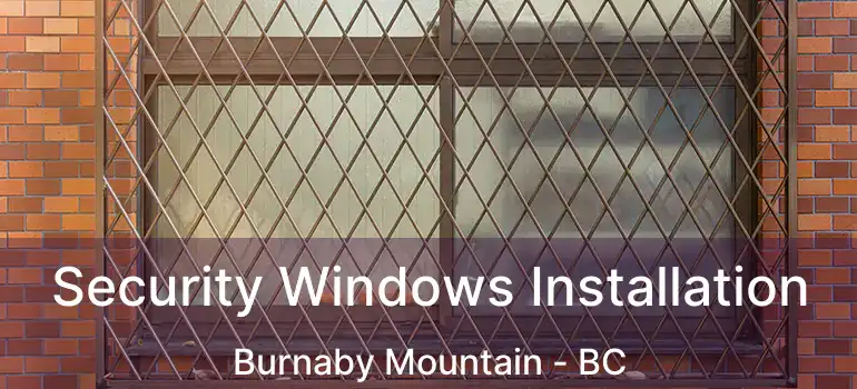  Security Windows Installation Burnaby Mountain - BC