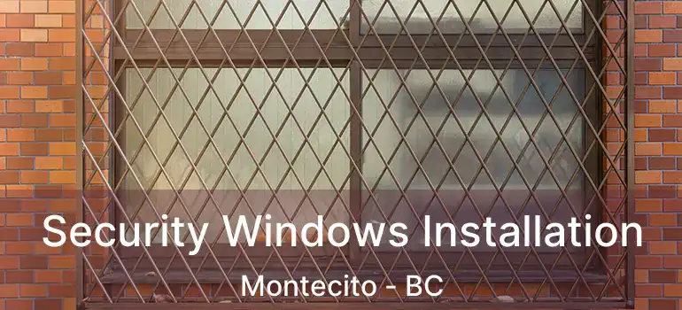  Security Windows Installation Montecito - BC