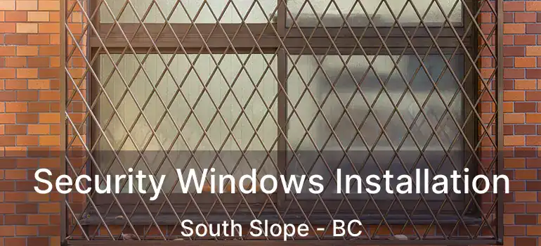  Security Windows Installation South Slope - BC