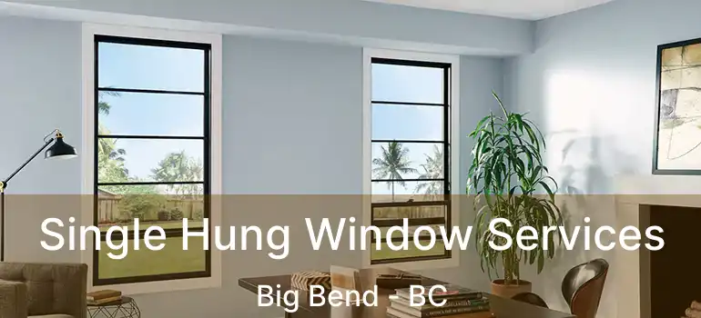  Single Hung Window Services Big Bend - BC
