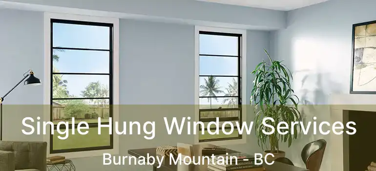  Single Hung Window Services Burnaby Mountain - BC