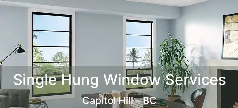  Single Hung Window Services Capitol Hill - BC