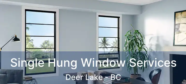  Single Hung Window Services Deer Lake - BC