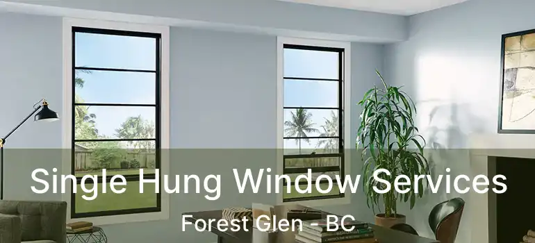  Single Hung Window Services Forest Glen - BC
