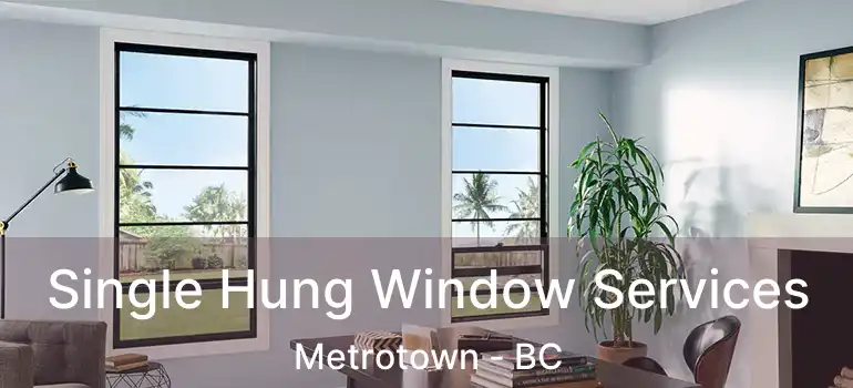  Single Hung Window Services Metrotown - BC