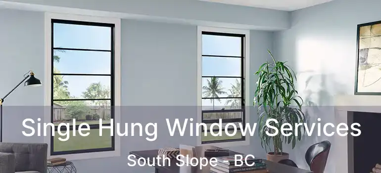  Single Hung Window Services South Slope - BC