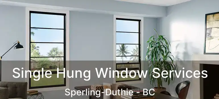  Single Hung Window Services Sperling-Duthie - BC