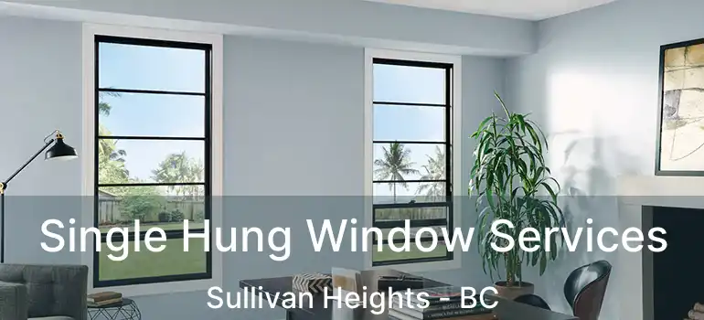  Single Hung Window Services Sullivan Heights - BC