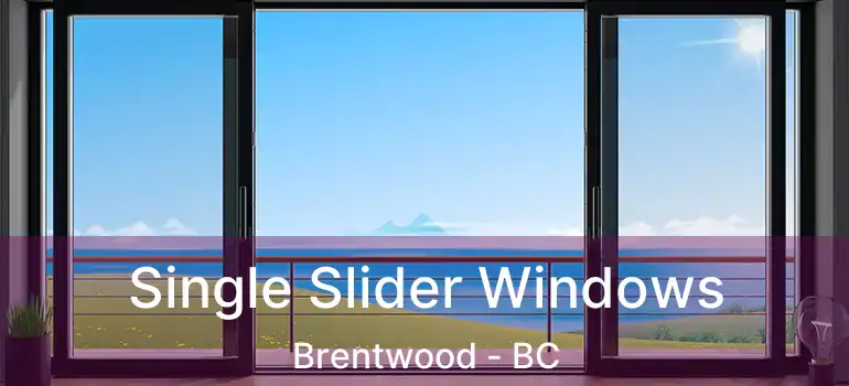  Single Slider Windows Brentwood - BC