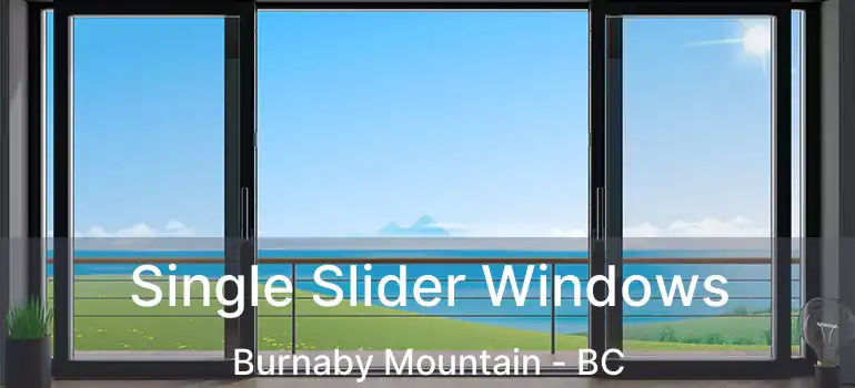  Single Slider Windows Burnaby Mountain - BC