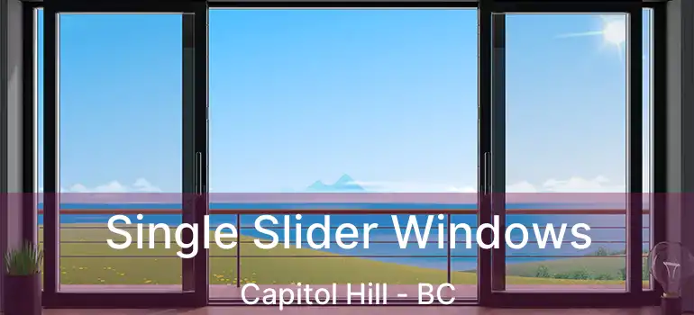  Single Slider Windows Capitol Hill - BC