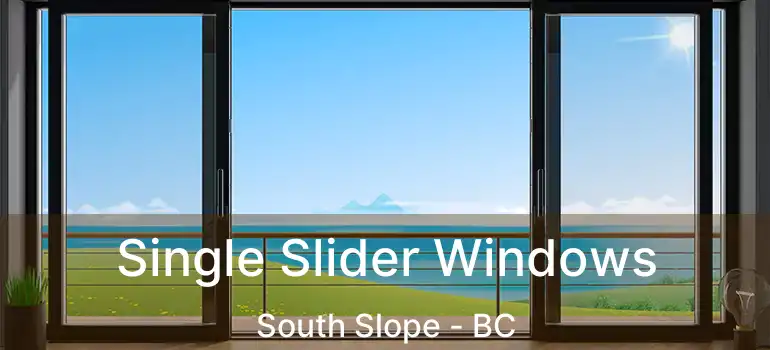  Single Slider Windows South Slope - BC
