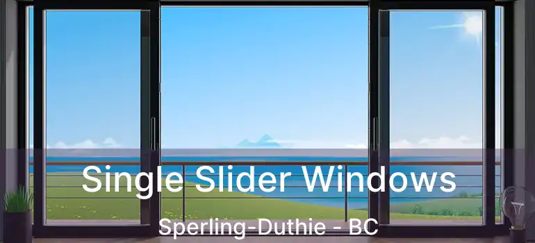  Single Slider Windows Sperling-Duthie - BC