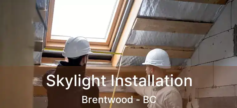  Skylight Installation Brentwood - BC