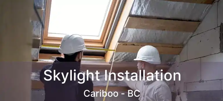  Skylight Installation Cariboo - BC