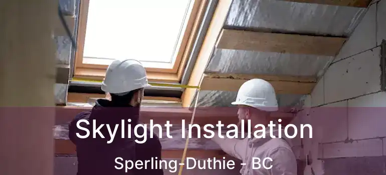  Skylight Installation Sperling-Duthie - BC