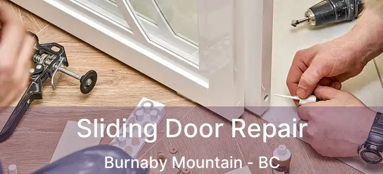  Sliding Door Repair Burnaby Mountain - BC