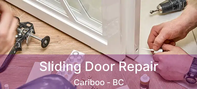  Sliding Door Repair Cariboo - BC