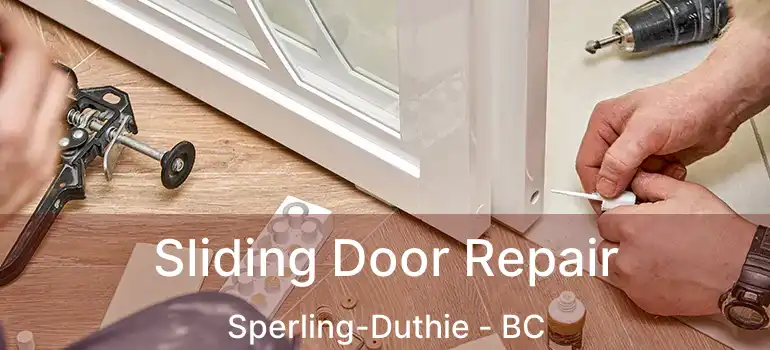  Sliding Door Repair Sperling-Duthie - BC