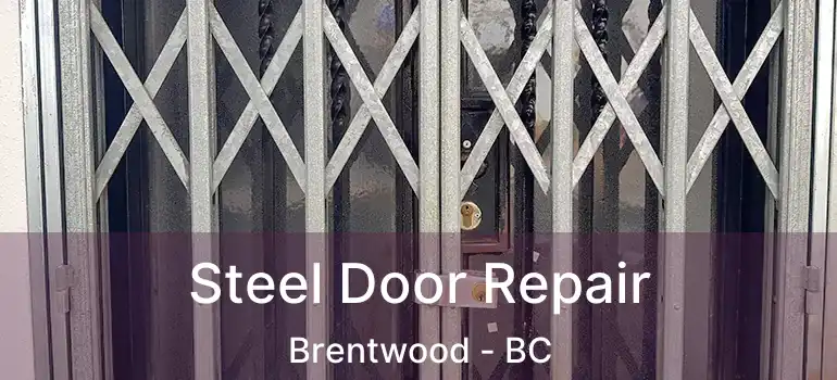 Steel Door Repair Brentwood - BC