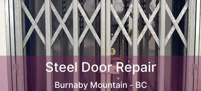  Steel Door Repair Burnaby Mountain - BC