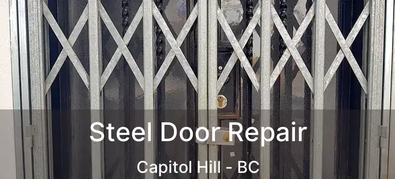  Steel Door Repair Capitol Hill - BC