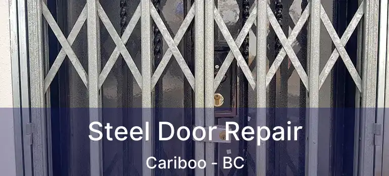  Steel Door Repair Cariboo - BC